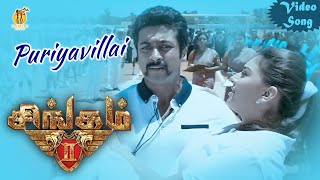 Singam 3  Best Fight Scene  Suriya  Anushka Shetty  Shruti Haasan [upl. by Llert]