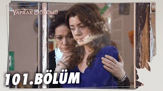 Yaprak Dökümü 101 Bölüm  Full Bölüm [upl. by Idak]