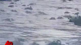 Alligator Feeding Frenzy Caught on Tape [upl. by Eanad81]