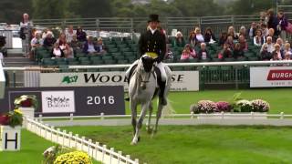 Land Rover Burghley Horse Trials 2016  Day 2 Dressage Harry Dzenis [upl. by Nerej]