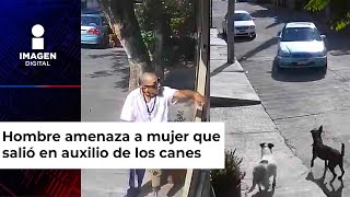 Hombre intenta atropellar a dos perritos en Morelia [upl. by Emlin]