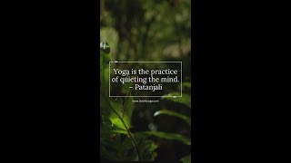 Practice of Quieting the Mind  Siddhi Yoga [upl. by Saeger]