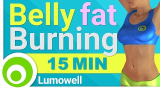 Belly fat burning exercise Belly Pooch Burner Workout  HIIT Fat Destroyer [upl. by Eirol557]