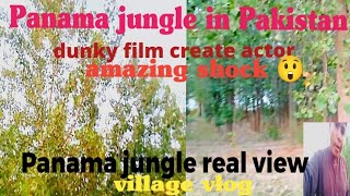 Panama jungle in Pakistan copy dncky boys  village vlog foryou viralvideos viral [upl. by Lesslie]