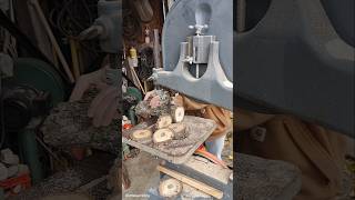 Cutting wood cookies or slices with bandsaw [upl. by Anekam94]