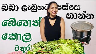 කොන්දෙ අමාරැවට බෙහෙත් කොල වතුර  Ayurwedic water bath after delivery 🤱🏻postpartum care Native [upl. by Kassie295]