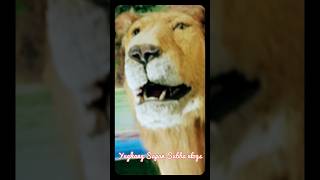 5 November 2024 Vabby Attitude Shayari Short Tranding Status Videos Thanks For Watching [upl. by Niltac]