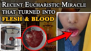 RECENT Eucharistic Miracle in Kerala India  Host turned into FLESH amp BLOOD [upl. by Ahsita556]