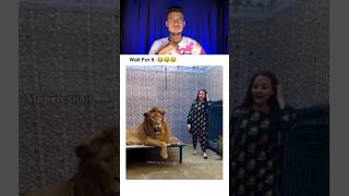 Try not to Laugh Challenge 27🤣shorts funny viralshort viral [upl. by Basia]