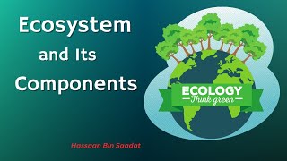 Components of Ecosystem HassaanBinSaadat [upl. by Iot]