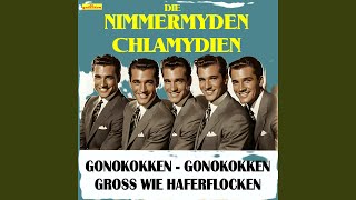 Gonokokken so groß wie Haferflocken feat Die Nimmermyden Chlamydien [upl. by Tade]