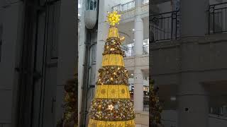 Christmas Vibes 2024 Featuring Robinsons Place Imus Citys 2022 Christmas Tree christmastree [upl. by Vokaay]