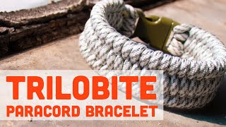 Easy Trilobite Paracord Bracelet—Beginner Tutorial [upl. by Macknair]