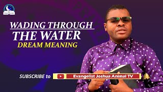 Wading Through The Water Dream Meaning  Evangelist Joshua TV [upl. by Harikahs]