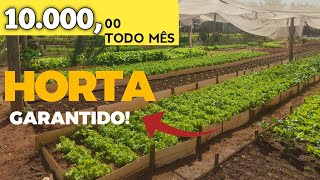 COMO GANHAR DINHEIRO RÁPIDO E FÁCIL COM HORTA E HORTALIÇA [upl. by Torey]