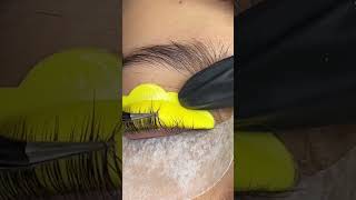 Eyelash lift lashes eyelashes eyelashlift eyelashlifting lashlifting eyelashextensions [upl. by Eednac]