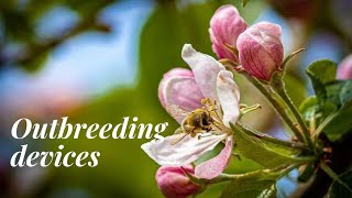 Oubreeding devicesPollination Reproduction in Flowering Plants Telugu [upl. by Wilhide987]