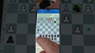 960 Chess Winning in 4 MOVEs  Deep Analysis into the Masters imagination 😉😉 [upl. by Oballa130]