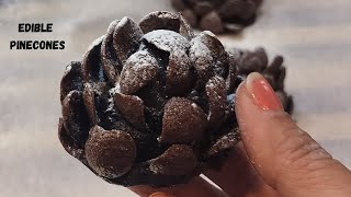 3  Ingredients Chocolate Pinecones  Viral TikTok Recipe  Seasonal Treats [upl. by Aurel]