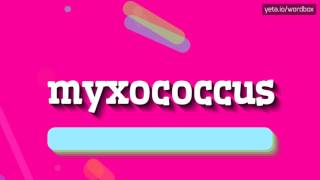 MYXOCOCCUS  HOW TO PRONOUNCE IT [upl. by Jabin952]