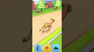 Animal RaceFlying Zoo shortvideo games shots animalrace AnimalRaceFlyingZoo [upl. by Euqinomod]