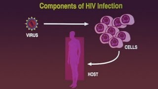 HIV A Primer [upl. by Nuy]