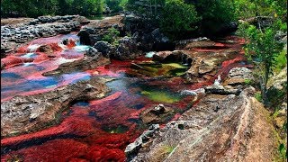 Caño Cristales Sierra de la Macarena Colombia [upl. by Neras]