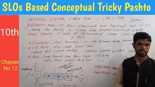 20 Neuron structure Dendrites  cell body  Axon  Myelin sheath biology in pashto [upl. by Sada542]