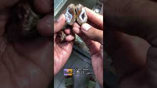 سنگ شانسی گوگولی🥹👽 crystals amatista stone ifhewantedtohewould agate ترند wood crystalshop [upl. by Moon]