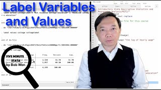 Label Variables and Values  Data Management Using Stata  Stata Tutorials Topic 26 [upl. by Ahsinuq]