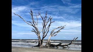 Botany Bay the Boneyard Beach [upl. by Yablon]