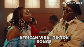 Africa Tiktok Hits  January 2024 [upl. by Tenn]