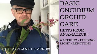 Basic Oncidium Orchid Care [upl. by Haraj13]