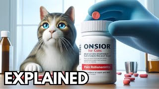 Onsior for cats  all you need to know about [upl. by Anay]