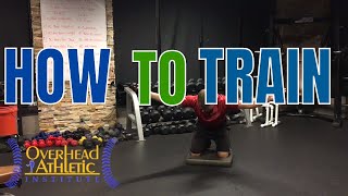 Best Exercises for Scapular Dyskinesis Mid Trap Exercises amp Low Trap Exercises Beginner amp Advanced [upl. by Sherl]