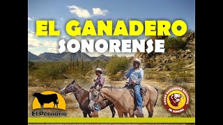 LA GANADERÍA SONORENSE  Video promocional unión ganadera regional de Sonora [upl. by Frederique359]