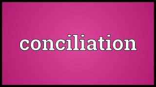 Conciliation Meaning [upl. by Artkele83]