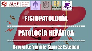 Patología Hepática  Fisiopatología  Briggitte Suarez  2610 [upl. by Bald]