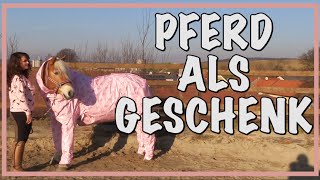 PFERD ALS GESCHENK ✮✮✮✮✮ [upl. by Yllaw]