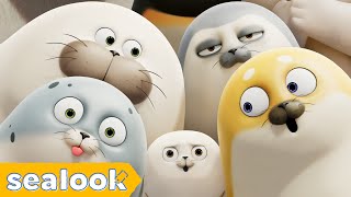 SEALOOK ⭐FULL EPISODES⭐ㅣSEALOOKㅣ90MIN Episodes Compilation [upl. by Sosanna]