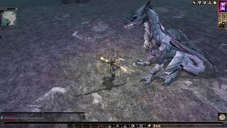 Neverwinter Nights NORMAL195Die Schneekugel Teil 1 Die Dryaden die Zwerge amp der Weisse Drache [upl. by Ahsienat622]