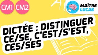 Dictée  distinguer sanssen cese cestsest cesses CM1  CM2  Cycle 3 FrançaisOrthographe [upl. by Junno800]