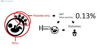 NIPT false results and placental mosaicism  Merogenomics [upl. by Nani440]