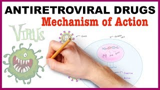 Antiretroviral Drugs Pharmacology  Mechanism of Action [upl. by Shedd439]