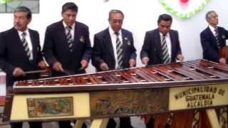 Marimba de la Municipalidad de Guatemala en el tiple mi amigo Noe Campos [upl. by Sheedy]