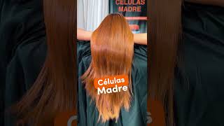 🧡Alisado Stem Cells Liss Expert🧡 [upl. by Dnomyad]