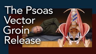 Psoas Vector Groin Release Somatics for a tight psoas muscle [upl. by Brodsky]