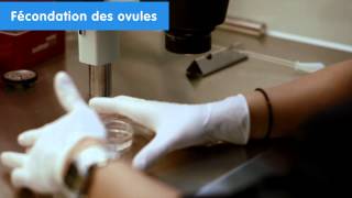 IVI Cliniques de procréation assistée  Fécondation in vitro résultats UE 2014 [upl. by Anayad]