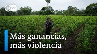 Cárteles mexicanos cambian el narcotráfico en Colombia [upl. by Annawoj653]