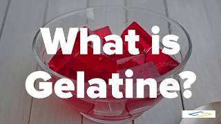 What is GelatineGelatin  Halal Gelatin [upl. by Minerva]